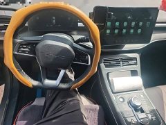 BYD Destroyer 05 Champion Edition DM-i 120KM Luxury - ფოტო 3
