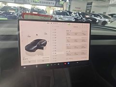 Tesla Model 3 2023 Rear-Wheel Drive - ფოტო 9