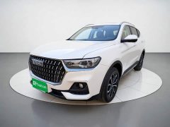 Haval H6 2023 National Trend Edition 1.5T Automatic Urban Version - ფოტო 2