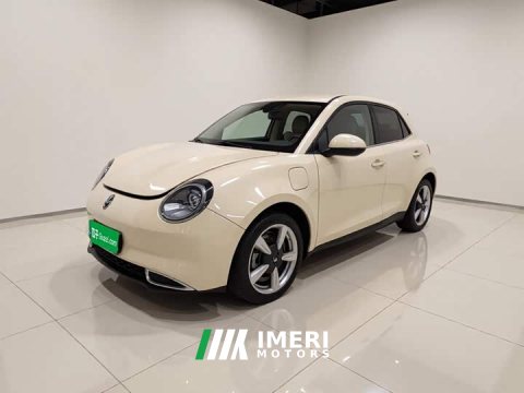 2023 ORA Good Cat 401km Standard Range Comfort Edition LFP Battery - ავტომობილი ჩინეთიდან