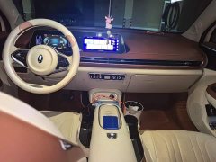 ORA Good Cat 401km Standard Range Comfort Edition LFP Battery - ფოტო 13