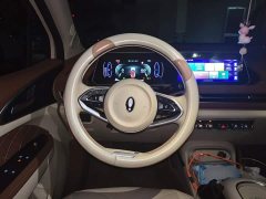 ORA Good Cat 401km Standard Range Comfort Edition LFP Battery - ფოტო 3