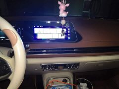 ORA Good Cat 401km Standard Range Comfort Edition LFP Battery - ფოტო 6