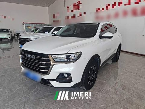 2022 Haval H6 2021 National Trend Edition 1.5T Automatic Urban Version - ავტომობილი ჩინეთიდან