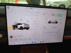 Nio Lerado L60 2024 60kWh Rear-Wheel Drive - ფოტო 8