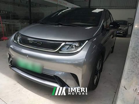 2023 BYD Dolphin 420km Fashion Edition - ავტომობილი ჩინეთიდან