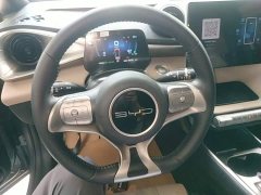BYD Dolphin 420km Fashion Edition - ფოტო 11