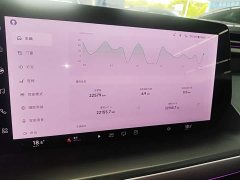 XPeng P7 480N - ფოტო 12