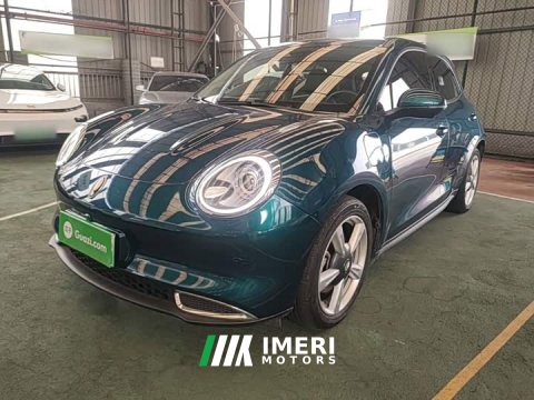 2022 ORA Good Cat 2021 400km Standard Range Venus Edition LFP Battery - ავტომობილი ჩინეთიდან
