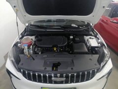 Geely Binrui 2024 Binrui COOL 1.5T DCT Champion Edition - ფოტო 16