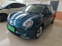 ORA Good Cat 401km Standard Range Deluxe LFP - ფოტო 1