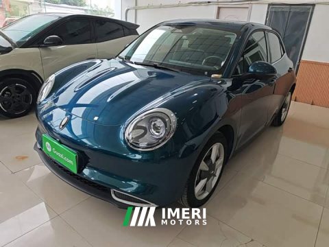 2023 ORA Good Cat 401km Standard Range Deluxe LFP - ავტომობილი ჩინეთიდან