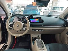 ORA Good Cat 401km Standard Range Deluxe LFP - ფოტო 10
