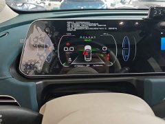 ORA Good Cat 401km Standard Range Deluxe LFP - ფოტო 12