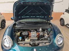 ORA Good Cat 401km Standard Range Deluxe LFP - ფოტო 20