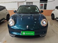 ORA Good Cat 401km Standard Range Deluxe LFP - ფოტო 3