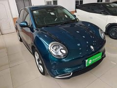 ORA Good Cat 401km Standard Range Deluxe LFP - ფოტო 4
