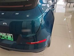 ORA Good Cat 401km Standard Range Deluxe LFP - ფოტო 8