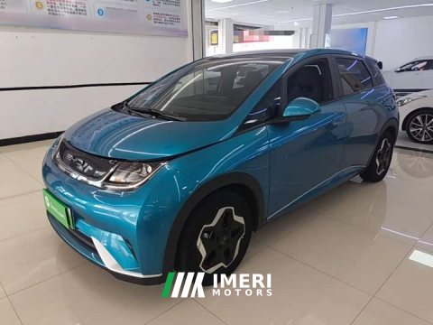 2023 BYD Dolphin 405km Fashion Edition - ავტომობილი ჩინეთიდან