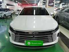 BYD Destroyer 05 2024 Glory Edition DM-i 55KM Luxury - ფოტო 3