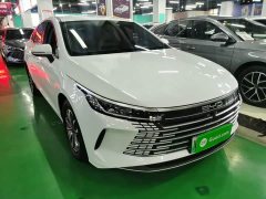 BYD Destroyer 05 2024 Glory Edition DM-i 55KM Luxury - ფოტო 4