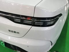 BYD Destroyer 05 2024 Glory Edition DM-i 55KM Luxury - ფოტო 8