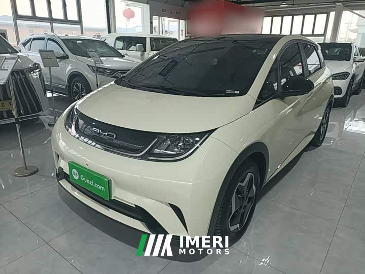 BYD Dolphin 405km Fashion Edition - ავტომობილი ჩინეთიდან