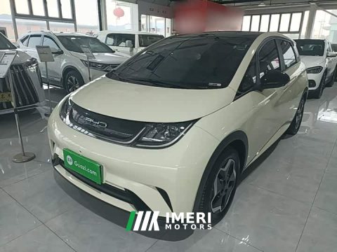 2022 BYD Dolphin 405km Fashion Edition - ავტომობილი ჩინეთიდან