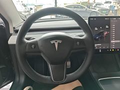 Tesla Model 3 Performance All-Wheel Drive - ფოტო 11