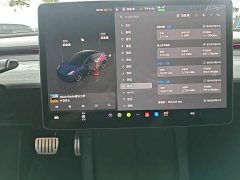 Tesla Model 3 Performance All-Wheel Drive - ფოტო 12