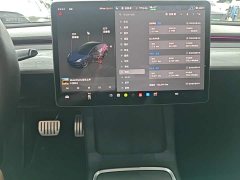 Tesla Model 3 Performance All-Wheel Drive - ფოტო 13