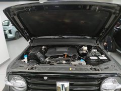 Tank 300 Off-Road Edition 2.0T Conqueror - ფოტო 16