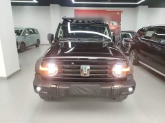 Tank 300 Off-Road Edition 2.0T Conqueror - ფოტო 3