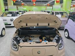 Leapmotor Leapo T03 2022 Amber Edition - ფოტო 20