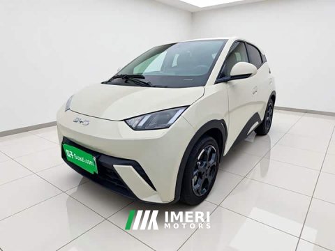 2025 BYD Seagull 2024 Glory Edition 305km Freedom Version - ავტომობილი ჩინეთიდან