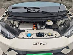 BYD Seagull 2024 Glory Edition 305km Freedom Version - ფოტო 11