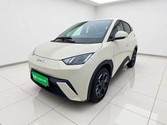 BYD Seagull 2024 Glory Edition 305km Freedom Version - ფოტო 2