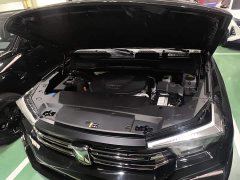 Tank 400 New Energy 2024 Hi4-T Off-Road Edition - ფოტო 20