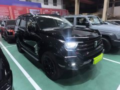 Tank 400 New Energy 2024 Hi4-T Off-Road Edition - ფოტო 4
