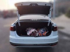 Volkswagen Bora 200TSI DSG Smart Edition - ფოტო 10