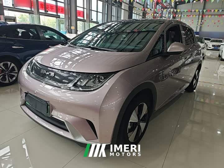 BYD Dolphin 420km Fashion Edition