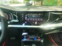 Volkswagen Passat 330TSI Starry Sky Elite - ფოტო 13