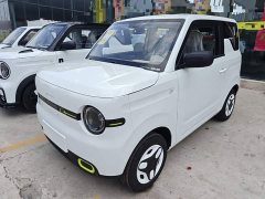 Geely Panda 2025 Panda Mini 210km Vitality Edition - ფოტო 1