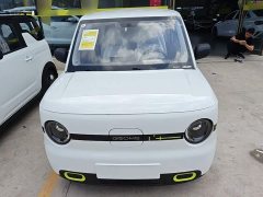 Geely Panda 2025 Panda Mini 210km Vitality Edition - ფოტო 3