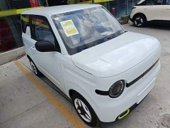 Geely Panda 2025 Panda Mini 210km Vitality Edition - ფოტო 4