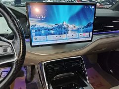 BYD Yuan Plus DM-i Glory Edition 112KM Premium - ფოტო 9