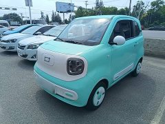 FAW Besturn Xiaoma 222km Lightning Edition - ფოტო 2