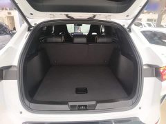 BYD Song Plus New Energy Glory Edition DM-i 110km Flagship Plus - ფოტო 15