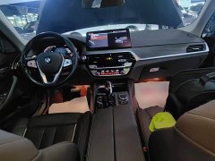 BMW 5 Series Facelift 530Li Luxury Edition Premium Package - ფოტო 10