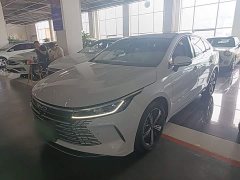 BYD Destroyer 05 2022 DM-i 120KM Luxury - ფოტო 2